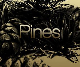Pine Trees HD Photoshop Brushes