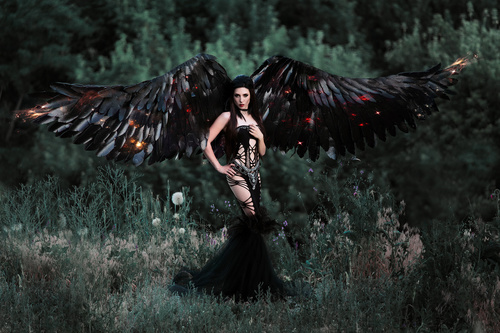 Pretty girl-demon with black wings Stock Photo 01