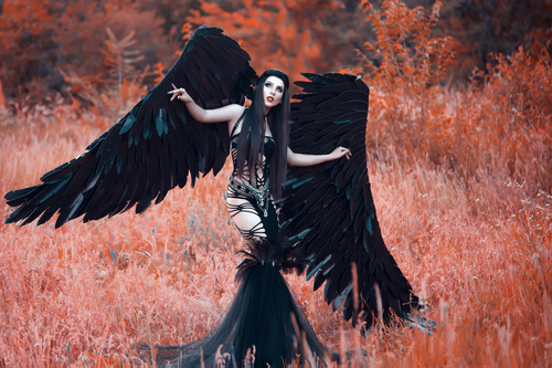 Pretty girl-demon with black wings Stock Photo 04