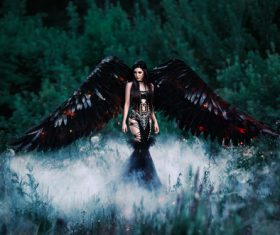 Pretty girl-demon with black wings Stock Photo 08