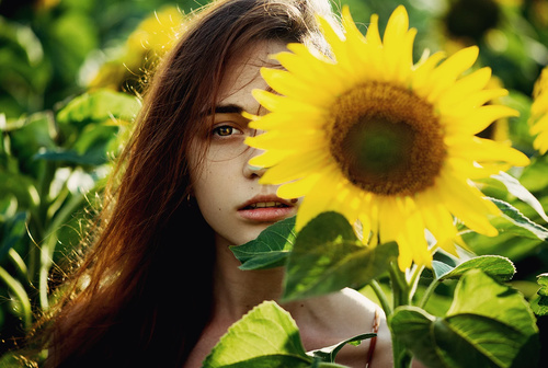 Pretty girl holding sun flower Stock Photo