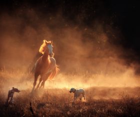 Running Horse and Two Dogs Stock Photo