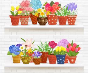 Shelf flower illustration vector