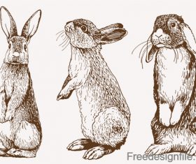 Sketh rabbit design vector material 01