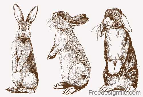 Sketh rabbit design vector material 01