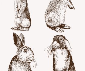 Sketh rabbit design vector material 02