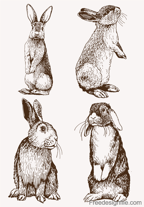 Sketh rabbit design vector material 02