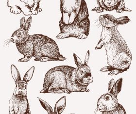 Sketh rabbit design vector material 03