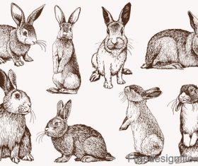Sketh rabbit design vector material 04