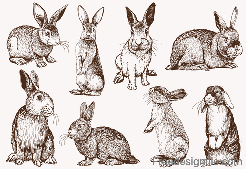 Sketh rabbit design vector material 04
