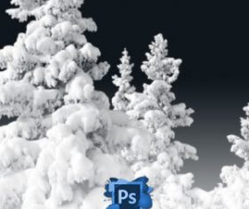 Snowy Trees Photoshop Brushes