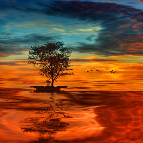 Solitary tree and sunset beautiful scenery Stock Photo