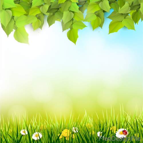 Spring outside background with green leaves and grass vector 02