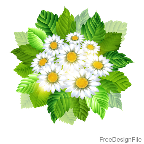 Spring white flower with green leaves vector