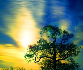 Sun yellow glow beautiful natural scenery Stock Photo