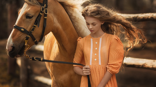 The girl led the horse Stock Photo
