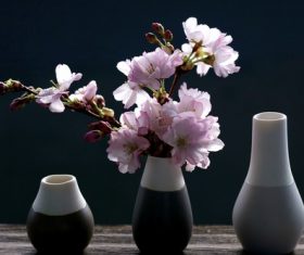 Vase cherry blossom flower arrangement Stock Photo