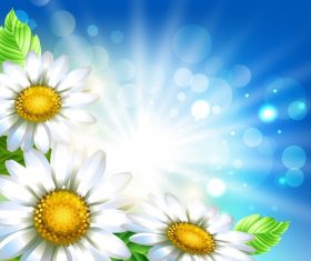 White flower with spring background art vector 02