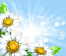 White flower with spring background art vector 04