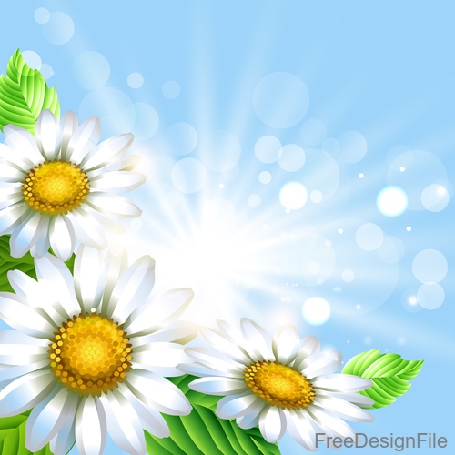 White flower with spring background art vector 04