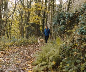 Woman and pet dog walking in the woods Stock Photo