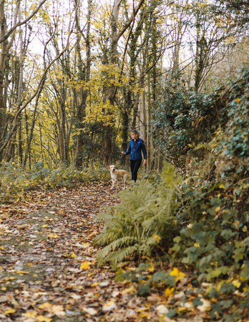Woman and pet dog walking in the woods Stock Photo