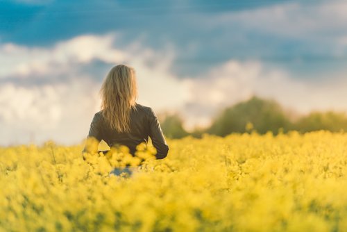 Woman standing in meadow of yellow flowers Stock Photo