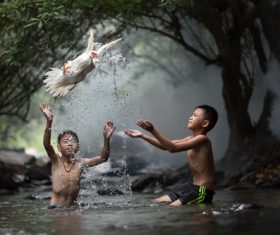 Children and ducks playing in the river Stock Photo