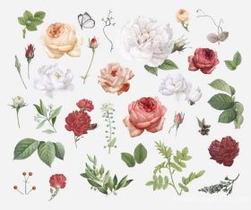 Different flowers with green leaves vector 01