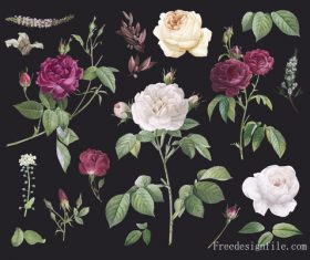 Different flowers with green leaves vector 02