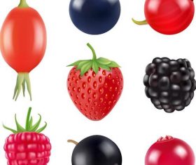 Fresh berry illustration vector design 01