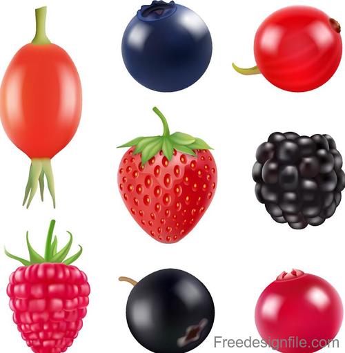 Fresh berry illustration vector design 01