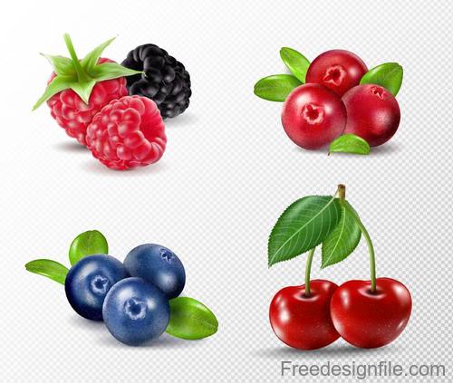 Fresh berry illustration vector design 02