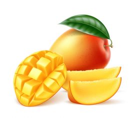 Fresh mango vector illustration material