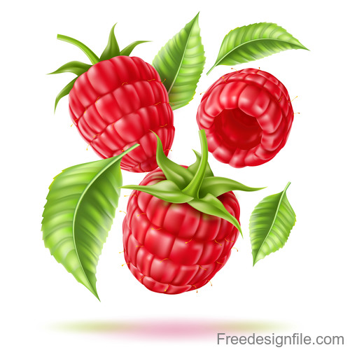 Fresh red berry vector illustration material