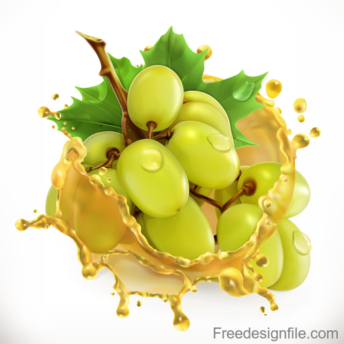Grape juice splash vector illustration