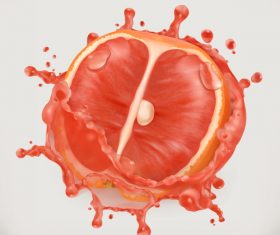 Grapefruit juice splash vector illustration