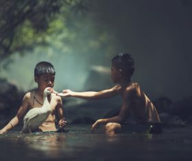 Little boy gives duck water Stock Photo