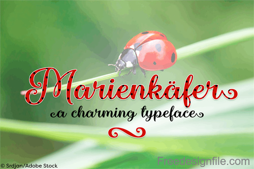 Marienkaefer Fonts