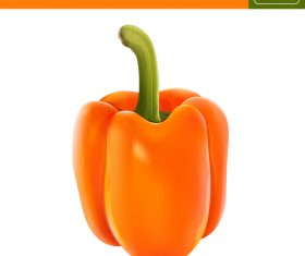 Ornage chilli illustration vector material