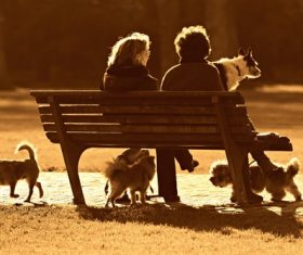 People and dogs live in harmony Stock Photo