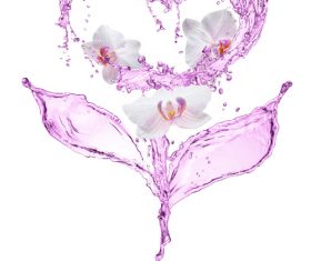 Pink heart from water splash with bubbles Stock Photo 03