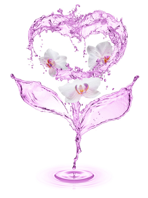 Pink heart from water splash with bubbles Stock Photo 03