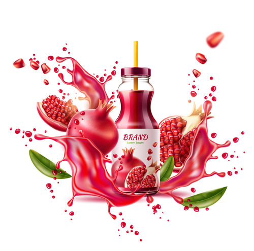 Pomegranate juice splash vector illustration