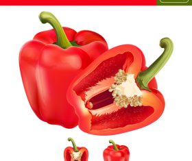 Red chilli illustration vector material
