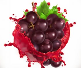 Red wine and grapes juice splash vector illustration
