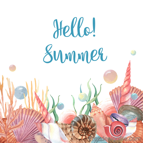Sea shel with summer background vector 01