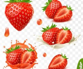 Strawberry illustration vector design