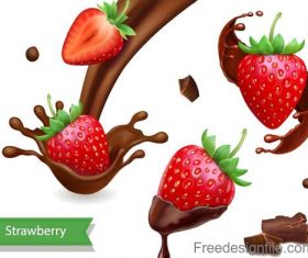 Strawberry with chotolate illustration vector