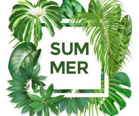 Summer background with tropical leaves vectors